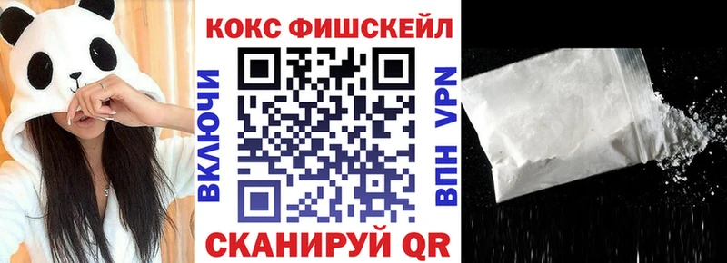 дарнет шоп  Камызяк  КОКАИН VHQ 