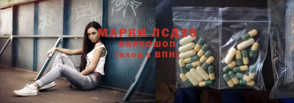 ГАЛЛЮЦИНОГЕННЫЕ ГРИБЫ Алзамай