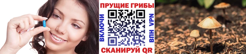 наркота  Камызяк  Галлюциногенные грибы мицелий 